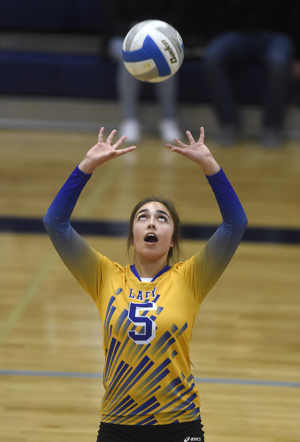 District IV All-Star Volleyball